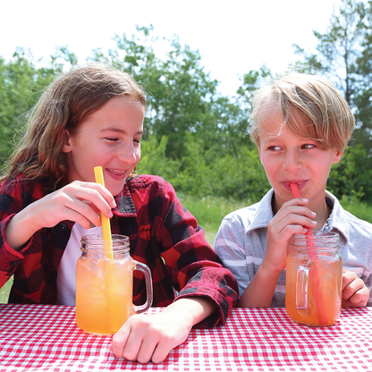 4PK SILICONE STRAWS